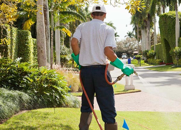 About Geraldine AL Pest Control